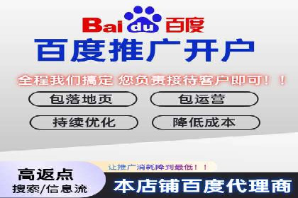 百度推广代运营公司：打造高效的网络营销团队